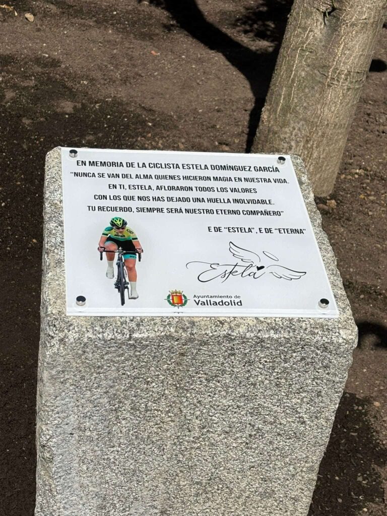 Carril Bici Valladolid Estela Domínguez